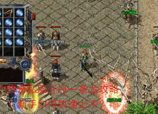 传奇私服开服一条龙攻略?新手如何快速上手? 传奇私服开服一条龙攻略?新手如何快速上手?