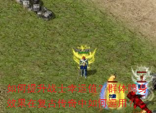 �������սʿ����ֵ��Ⱥ������Ч���ڸ��Ŵ�����������ã�