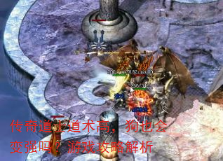 传奇道士道术高,狗也会变强吗?游戏攻略解析 传奇道士道术高,狗也会变强吗?游戏攻略解析