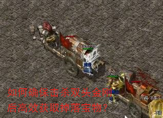 如何确保击杀双头金刚后高效获取掉落宝物? 如何确保击杀双头金刚后高效获取掉落宝物?