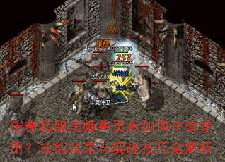 传奇私服法师兽灵术如何正确使用?技能效果与实战技巧全解析 传奇私服法师兽灵术如何正确使用?技能效果与实战技巧全解析