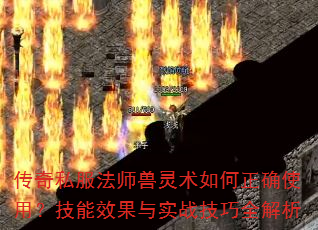 传奇私服法师兽灵术如何正确使用?技能效果与实战技巧全解析 传奇私服法师兽灵术如何正确使用?技能效果与实战技巧全解析
