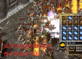 如何快速提升终极传奇中的角色等级? 如何快速提升终极传奇中的角色等级?