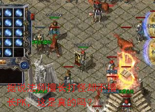 据说法师擅长打怪却不擅长PK,这是真的吗? 据说法师擅长打怪却不擅长PK,这是真的吗?