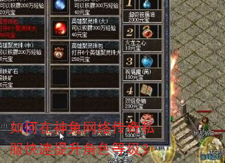 如何在神兔网络传奇私服快速提升角色等级? 如何在神兔网络传奇私服快速提升角色等级?