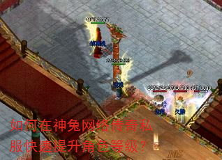如何在神兔网络传奇私服快速提升角色等级? 如何在神兔网络传奇私服快速提升角色等级?