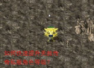 如何快速提升无赦传奇私服角色等级? 如何快速提升无赦传奇私服角色等级?