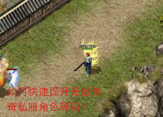 如何快速提升无赦传奇私服角色等级? 如何快速提升无赦传奇私服角色等级?