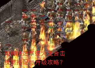 如何快速掌握火龙合击技能搭配与升级攻略? 如何快速掌握火龙合击技能搭配与升级攻略?