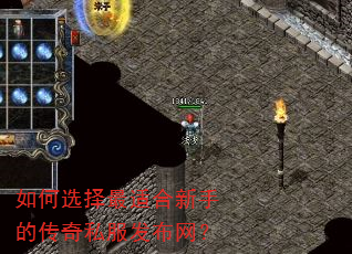 如何选择最适合新手的传奇私服发布网? 如何选择最适合新手的传奇私服发布网?