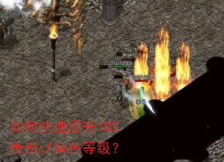 如何快速提升185传奇sf角色等级? 如何快速提升185传奇sf角色等级?