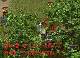想知道iOS传奇游戏最新开服时间与高效升级攻略吗? 想知道iOS传奇游戏最新开服时间与高效升级攻略吗?