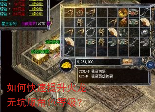如何快速提升火龙无坑版角色等级? 如何快速提升火龙无坑版角色等级?