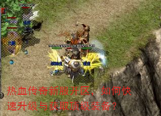热血传奇新服开区,如何快速升级与获取顶级装备? 热血传奇新服开区,如何快速升级与获取顶级装备?