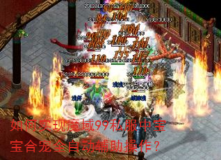 如何实现魔域99私服中宝宝合宠全自动辅助操作? 如何实现魔域99私服中宝宝合宠全自动辅助操作?
