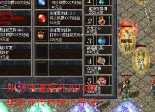如何快速提升2018新单职业传奇角色等级? 如何快速提升2018新单职业传奇角色等级?