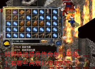 如何快速提升传奇角色等级?有哪些高效打宝技巧? 如何快速提升传奇角色等级?有哪些高效打宝技巧?