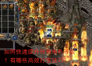 如何快速提升传奇角色等级?有哪些高效打宝技巧? 如何快速提升传奇角色等级?有哪些高效打宝技巧?