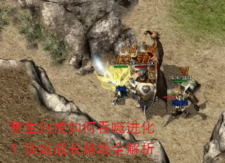 重生白虎如何吞噬进化?顶级成长路线全解析 重生白虎如何吞噬进化?顶级成长路线全解析