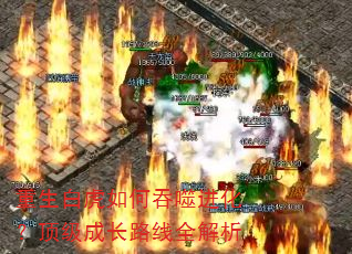 重生白虎如何吞噬进化?顶级成长路线全解析 重生白虎如何吞噬进化?顶级成长路线全解析