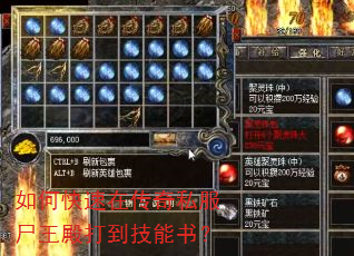 如何快速在传奇私服尸王殿打到技能书? 如何快速在传奇私服尸王殿打到技能书?