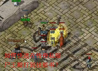 如何快速在传奇私服尸王殿打到技能书? 如何快速在传奇私服尸王殿打到技能书?