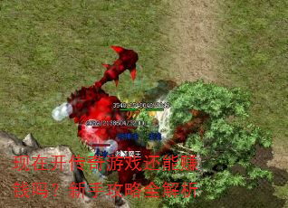 现在开传奇游戏还能赚钱吗?新手攻略全解析 现在开传奇游戏还能赚钱吗?新手攻略全解析