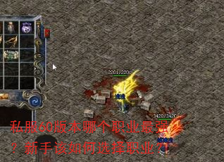 ˽��60�汾�ĸ�ְҵ��ǿ�����ָ����ѡ��ְҵ��