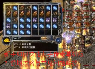新手如何快速上手传奇单机版?前期攻略与常见问题解答 新手如何快速上手传奇单机版?前期攻略与常见问题解答