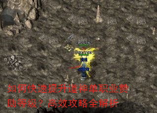 如何快速提升道神单职业赞助等级?高效攻略全解析 如何快速提升道神单职业赞助等级?高效攻略全解析