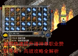 如何快速提升道神单职业赞助等级?高效攻略全解析 如何快速提升道神单职业赞助等级?高效攻略全解析