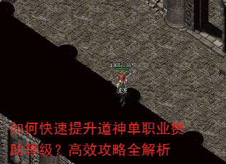 如何快速提升道神单职业赞助等级?高效攻略全解析 如何快速提升道神单职业赞助等级?高效攻略全解析